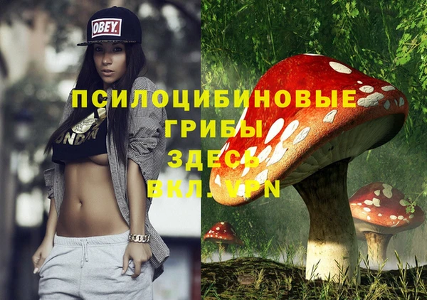 MDMA Каменногорск