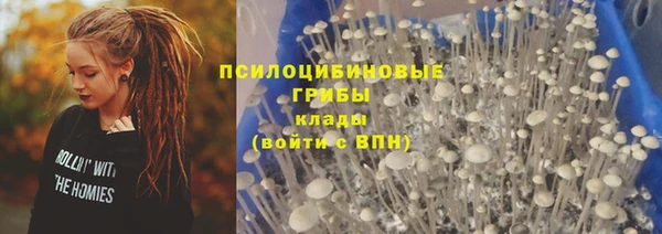 MDMA Каменногорск