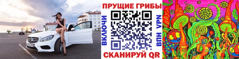 Галлюциногенные грибы Psilocybine cubensis  Купить  Грайворон 